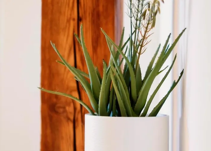 شقة Cozy Center - Near - Schlossberg View - By Casa Momo *