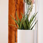 Apartment Cozy Center - Near - Schlossberg View - By Casa Momo *