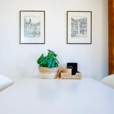 Helles Apartment In Zentraler Lage * Graz