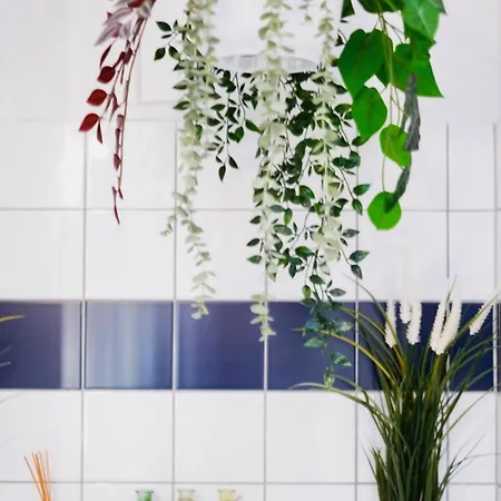 شقة Cozy Center - Near - Schlossberg View - By Casa Momo