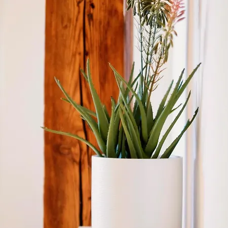 Daire Helles Apartment In Zentraler Lage *